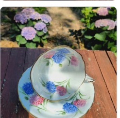 Hydrangea painted teacup